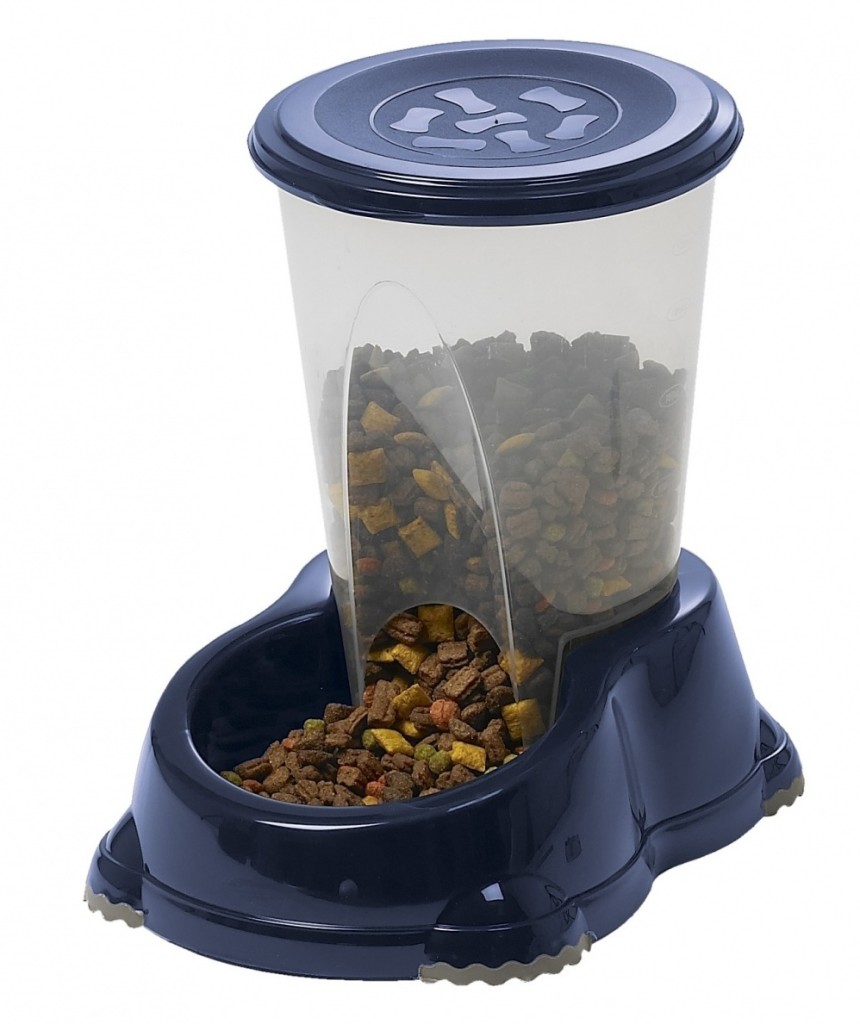 automatic feeder for cats 